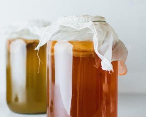 Kombucha