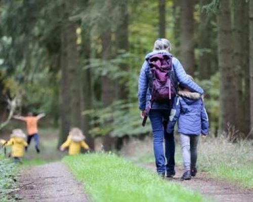 Mindfulness-en-el-camino