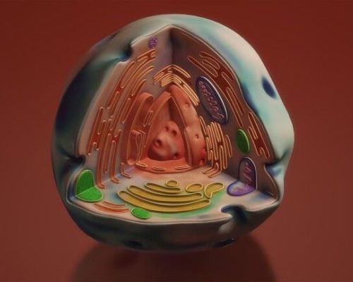 human-cell-6546023_1280-768x432